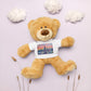 Chicago Symphony Snuggly Teddy Bear Plush