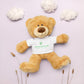 Shannon Evans ART Snuggly Teddy Bear Plush